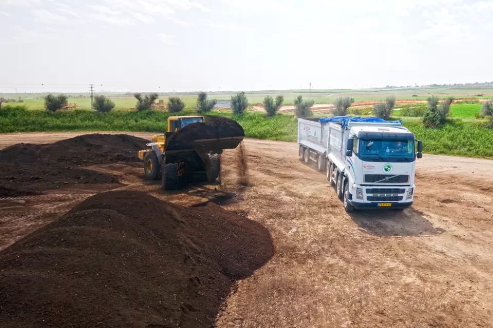 Compost Field